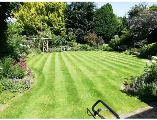 rightway landscapes tree removals coulsdon 5 - Rightway Landscapes