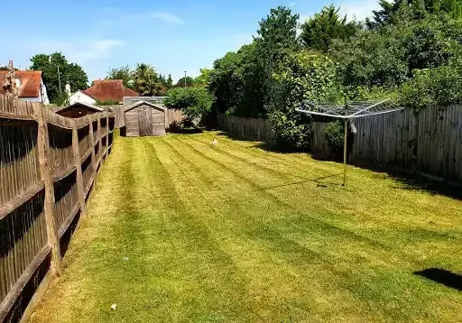 rightway-landscapes-tree-services-coulsdon-4